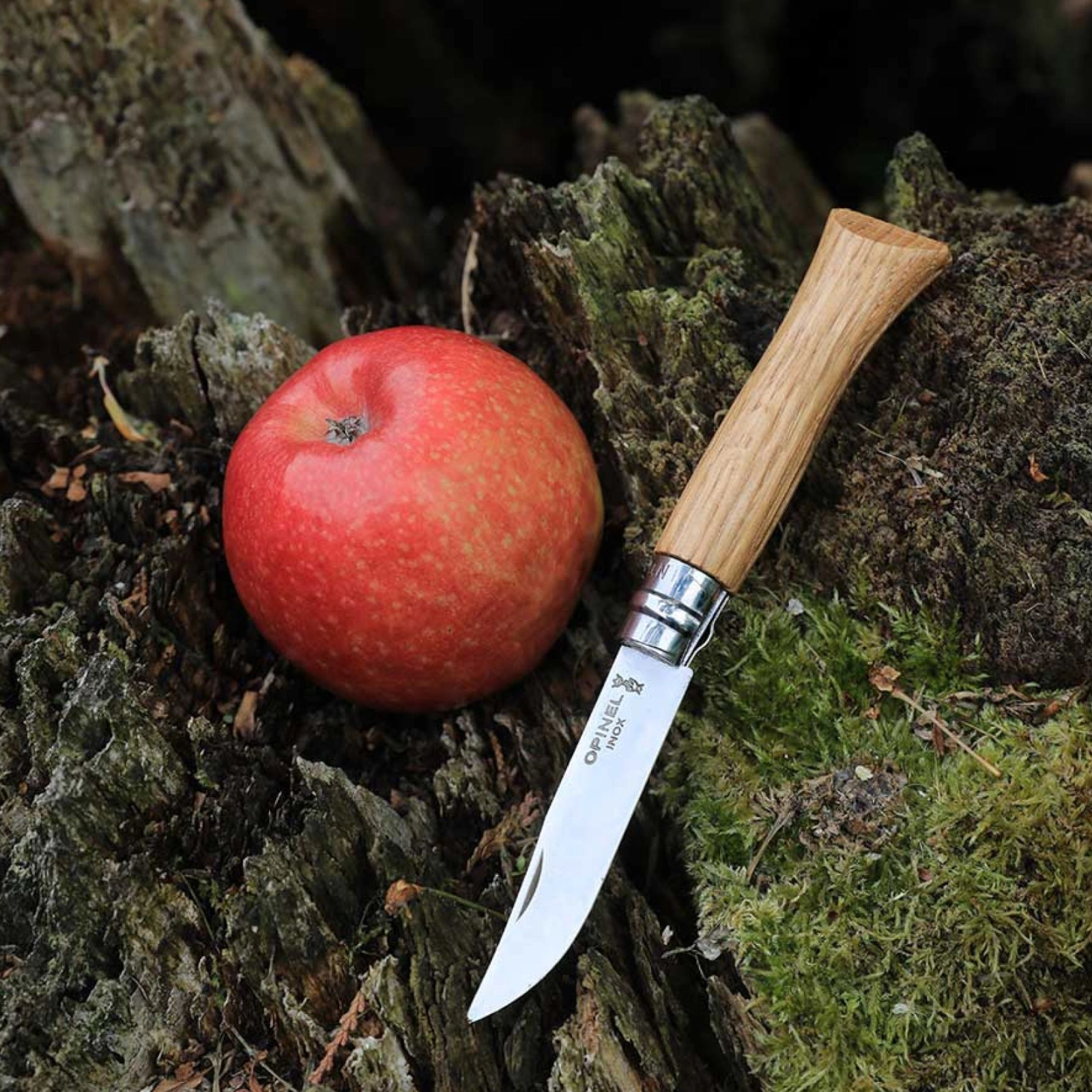 Opinel N°08 Eiche – Zeitloses Taschenmesser mit Edelstahlklinge & Griff aus französischer Eiche Opinel