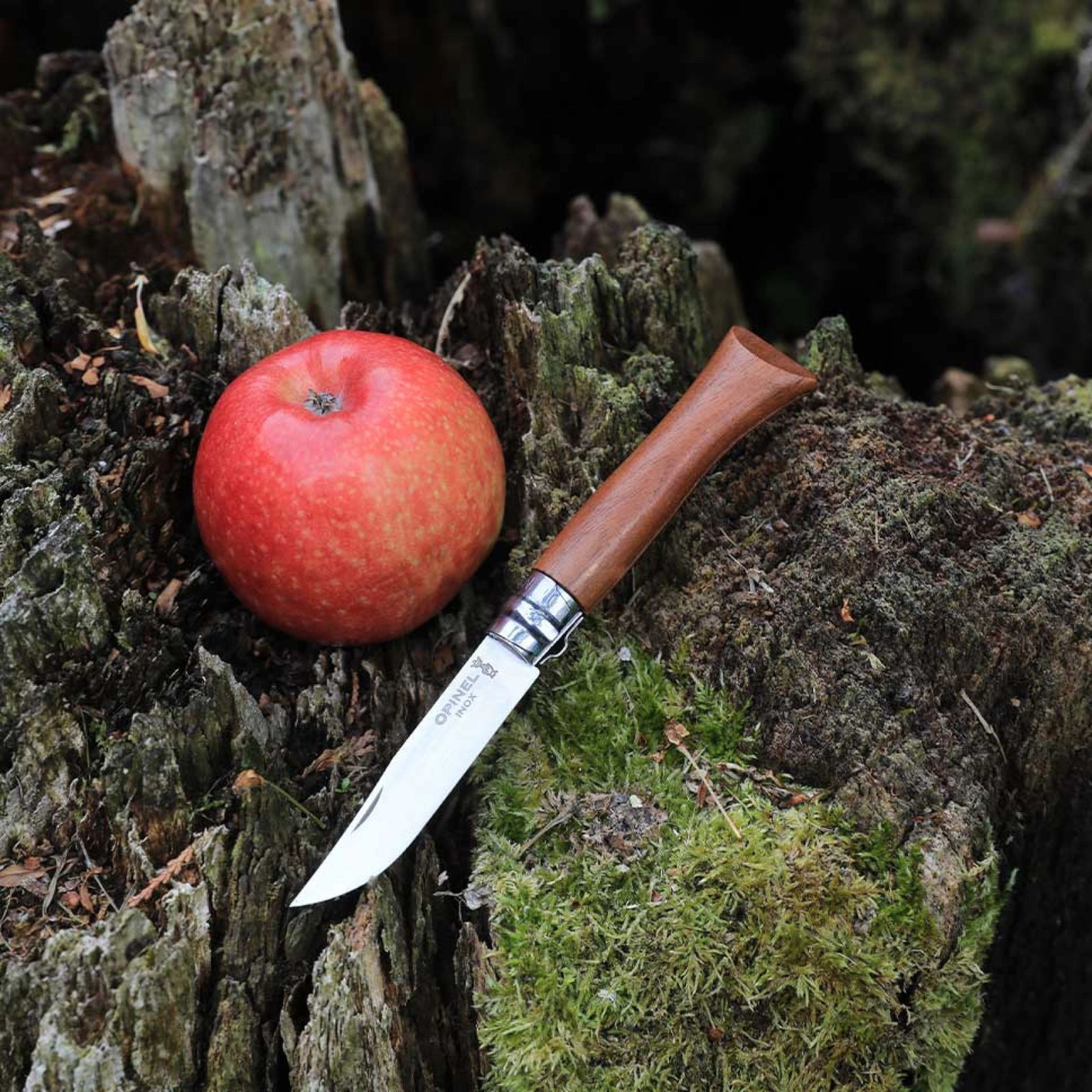 Opinel N°08 Nussholz – Klassisches Taschenmesser mit Edelstahlklinge & Griff aus edlem Nussbaumholz Opinel