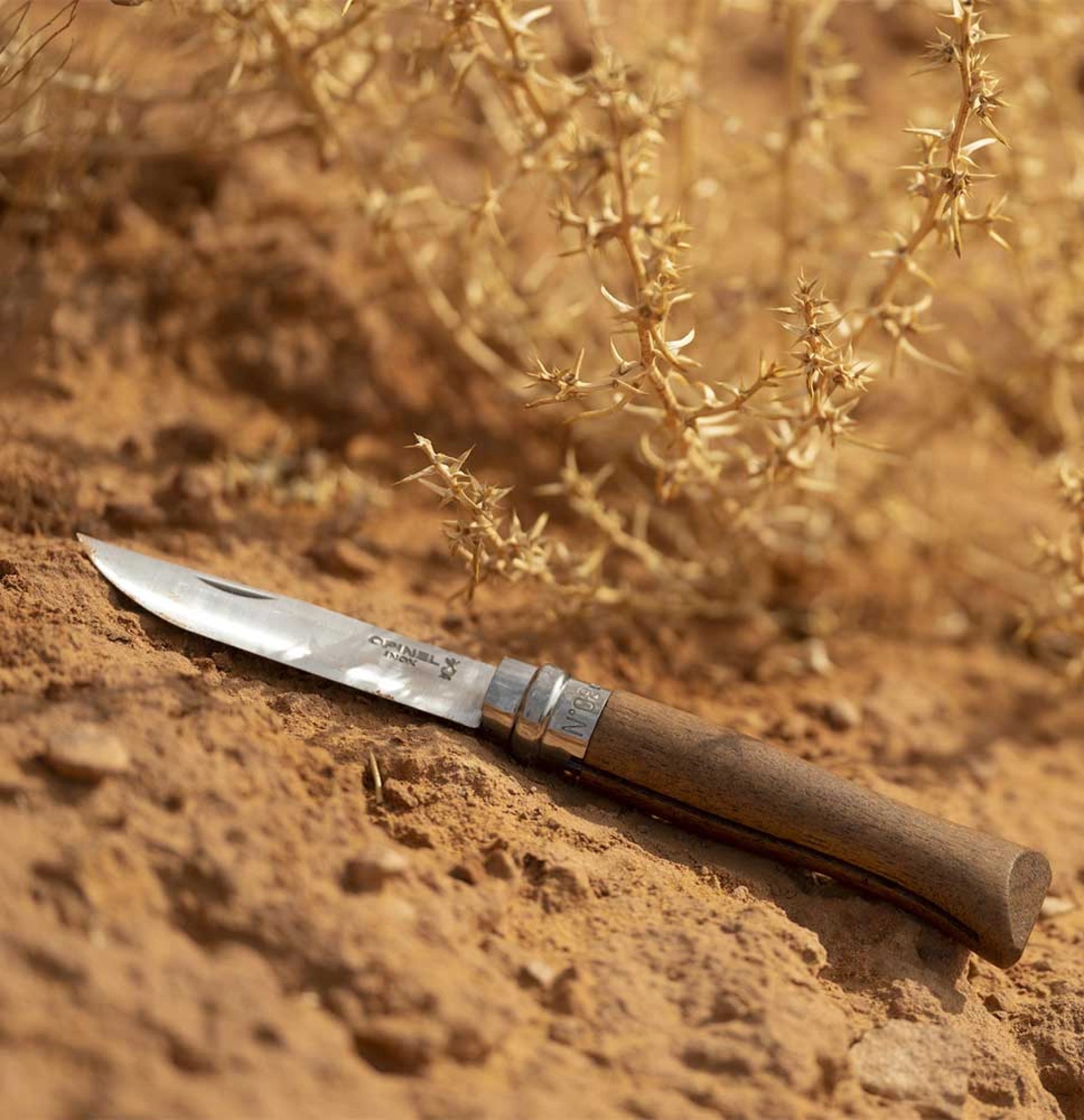 Opinel N°08 Nussholz – Klassisches Taschenmesser mit Edelstahlklinge & Griff aus edlem Nussbaumholz Opinel