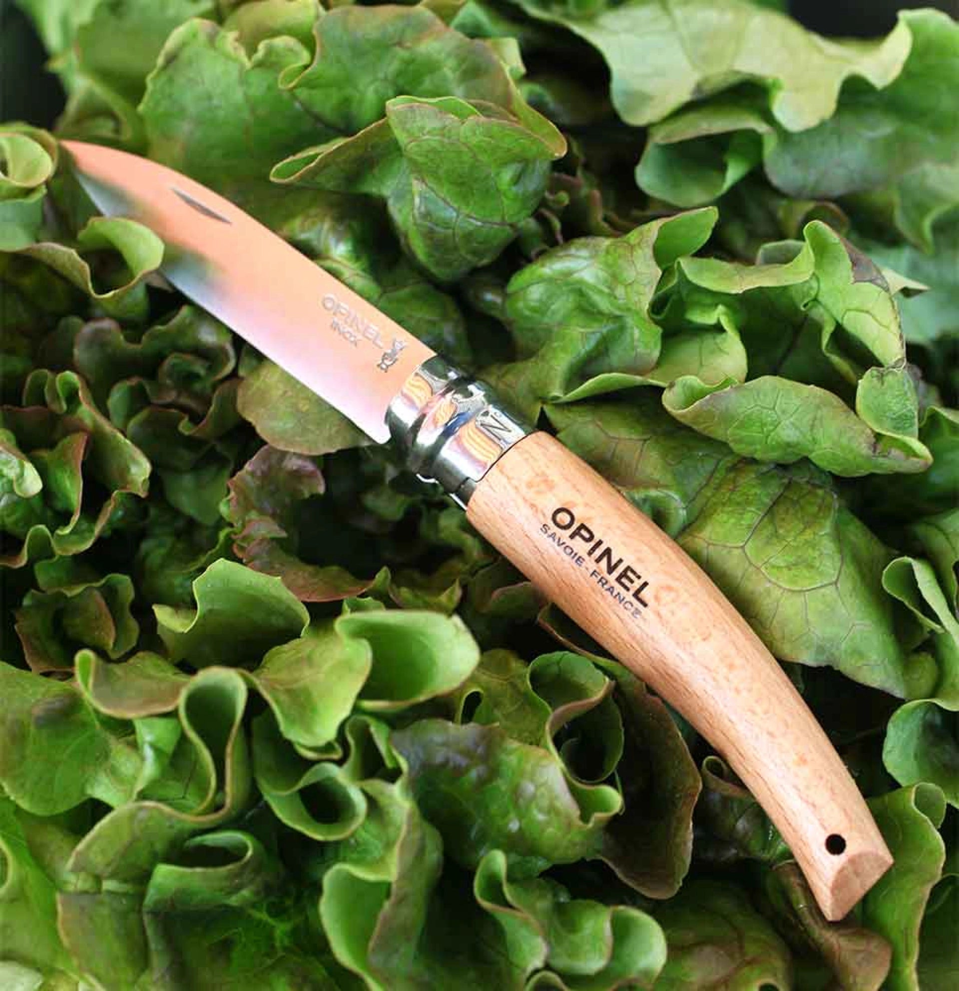 Opinel Gartenmesser N°08 – Robustes Unkraut- & Erntemesser mit Edelstahlklinge & Buchenholzgriff Opinel