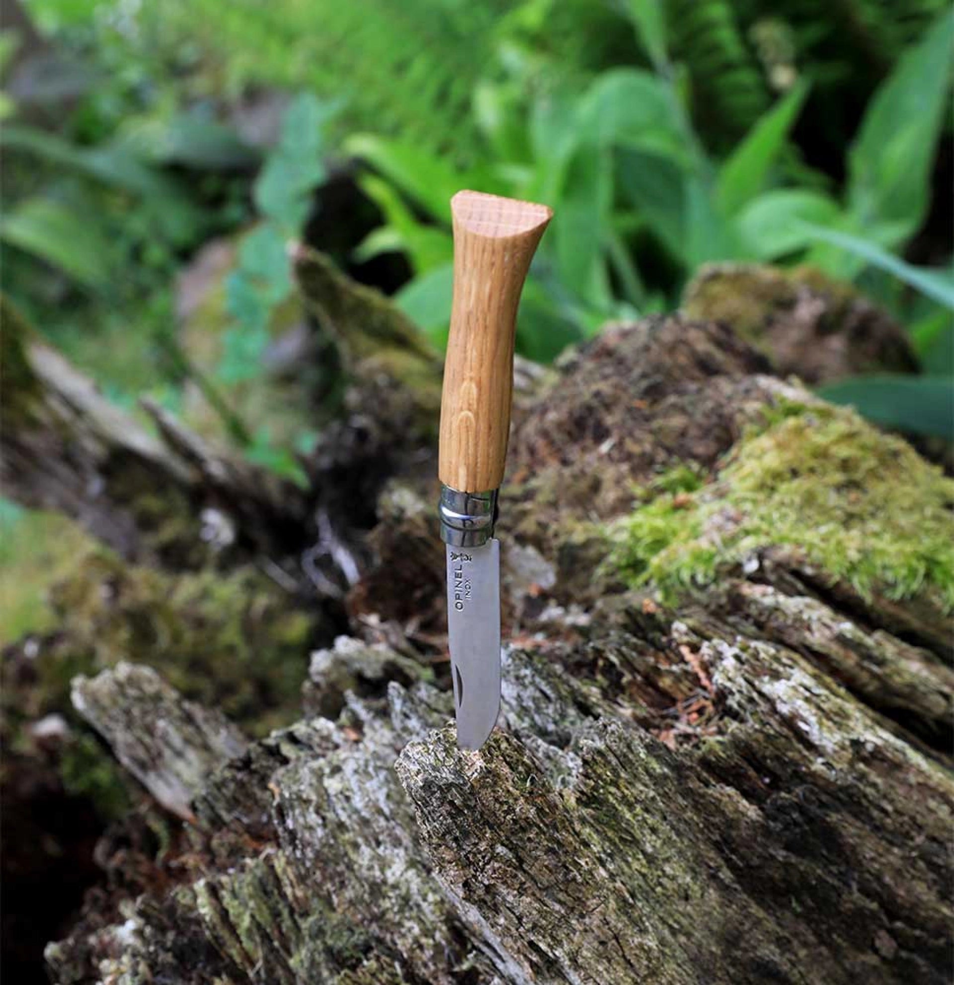 Opinel N°08 Eiche – Zeitloses Taschenmesser mit Edelstahlklinge & Griff aus französischer Eiche Opinel