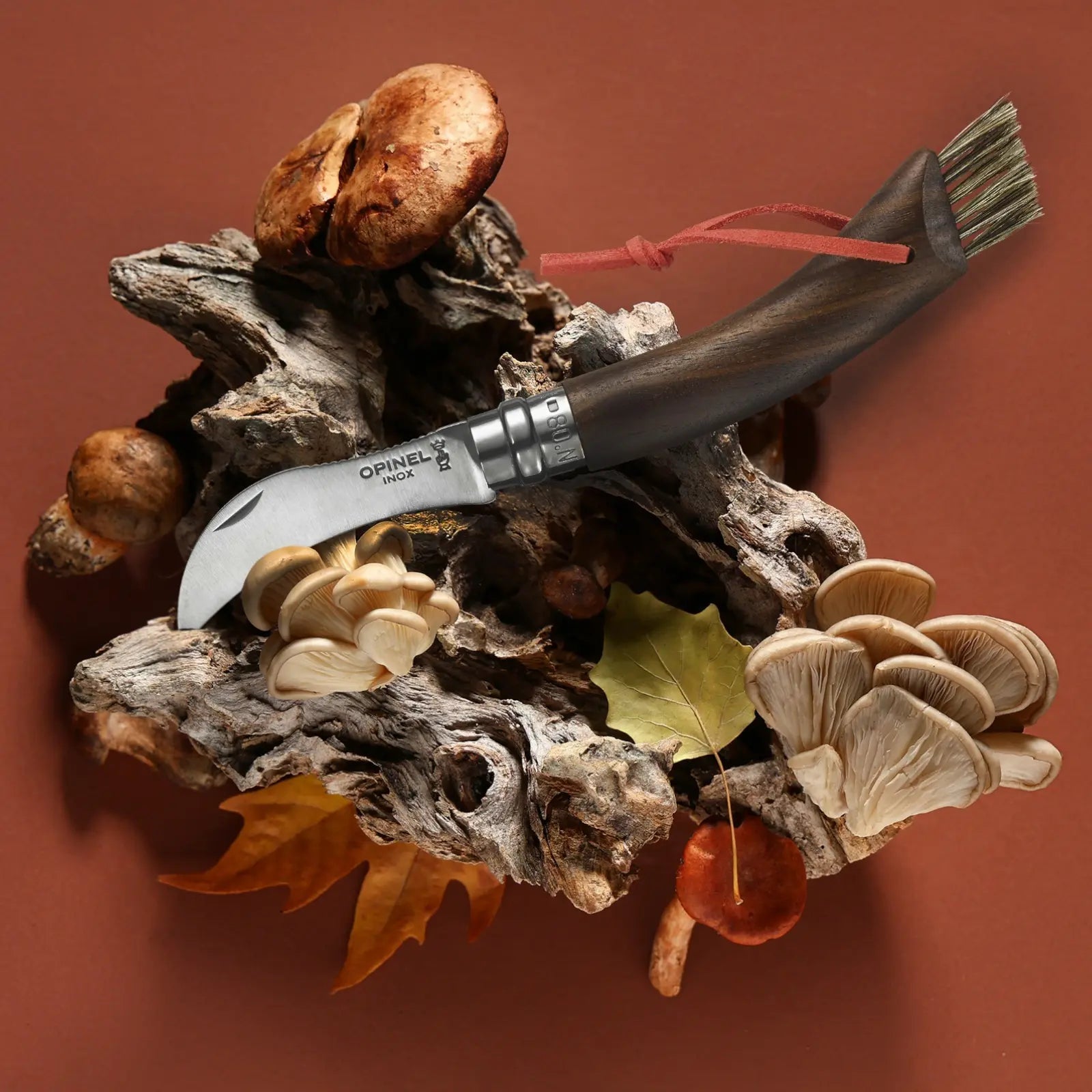 Opinel No. 8 Champignon Noyer Noir Messer Nussbaum – Pilzmesser mit Bürste & gebogener Klinge Opinel