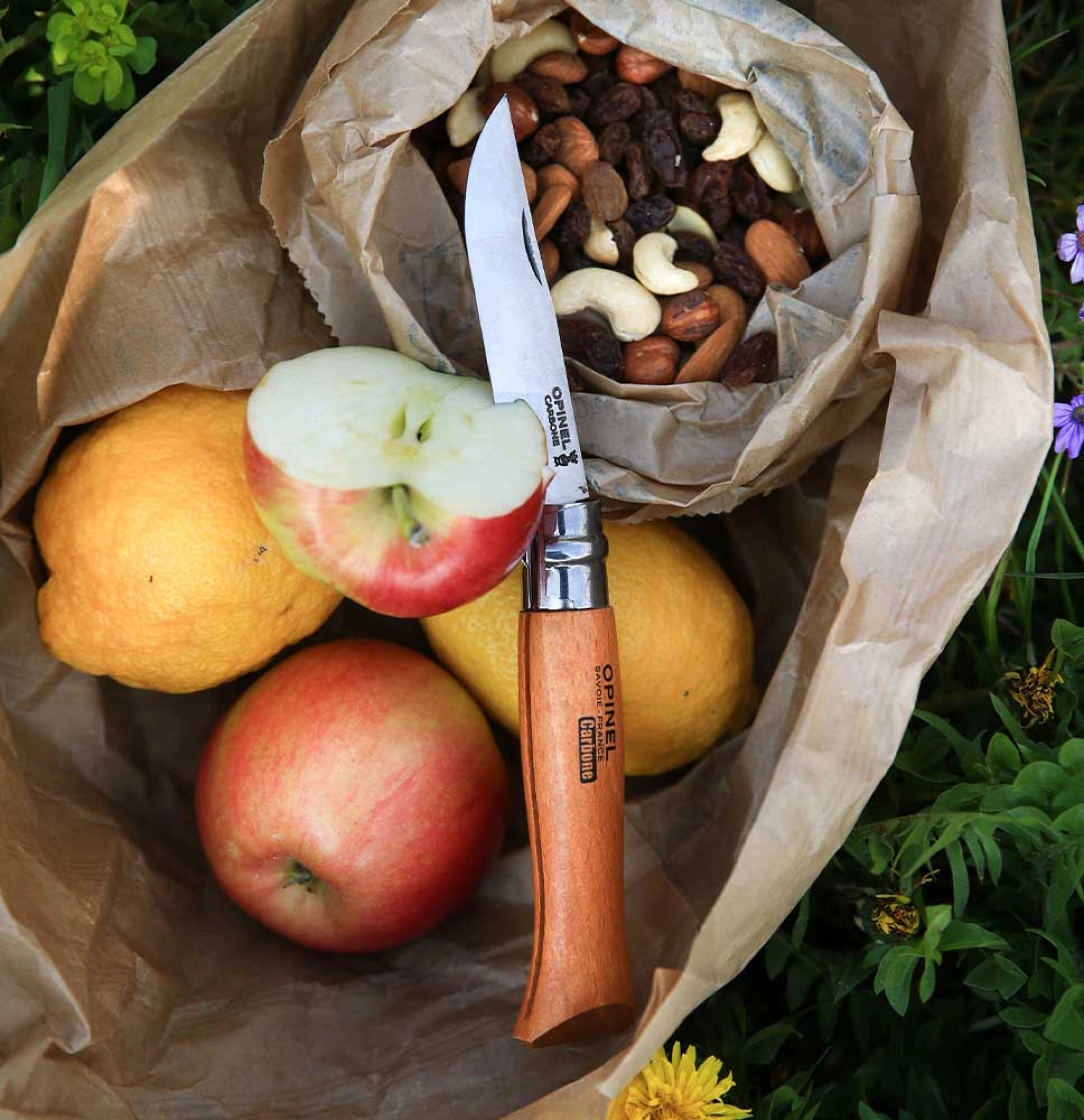 Opinel N°08 Carbon – Klassisches Taschenmesser mit Carbonstahlklinge & Buchenholzgriff Opinel