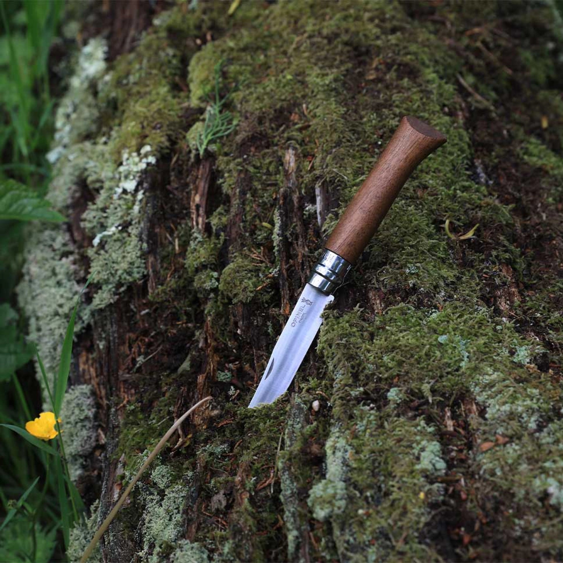 Opinel N°08 Nussholz – Klassisches Taschenmesser mit Edelstahlklinge & Griff aus edlem Nussbaumholz Opinel