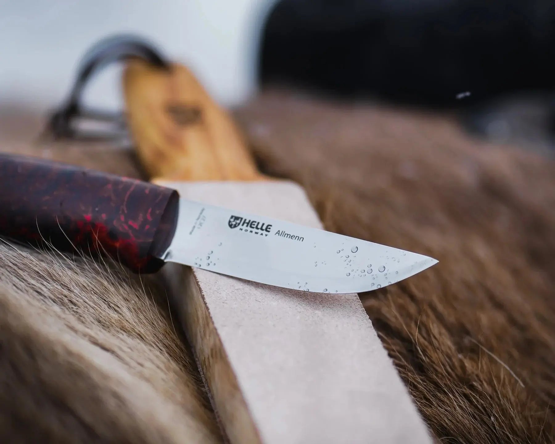 Helle Allmenn Messer 12C27 Scandi Curly Birch Outdoor Knife Norwegen + Lederscheide HELLE