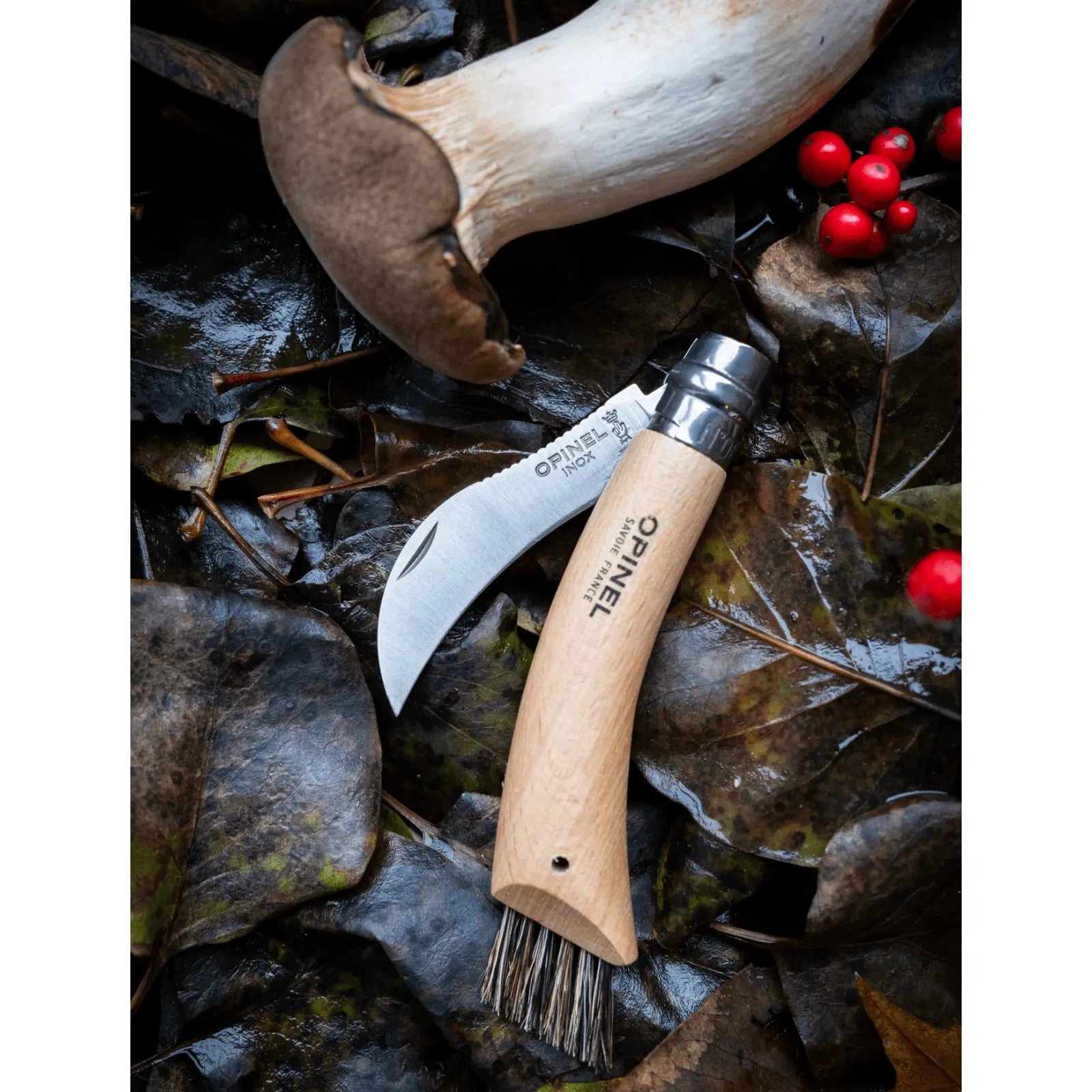Opinel No. 08 Pilzmesser – mit Bürste & Edelstahlklinge 12C27, Buchenholzgriff Opinel