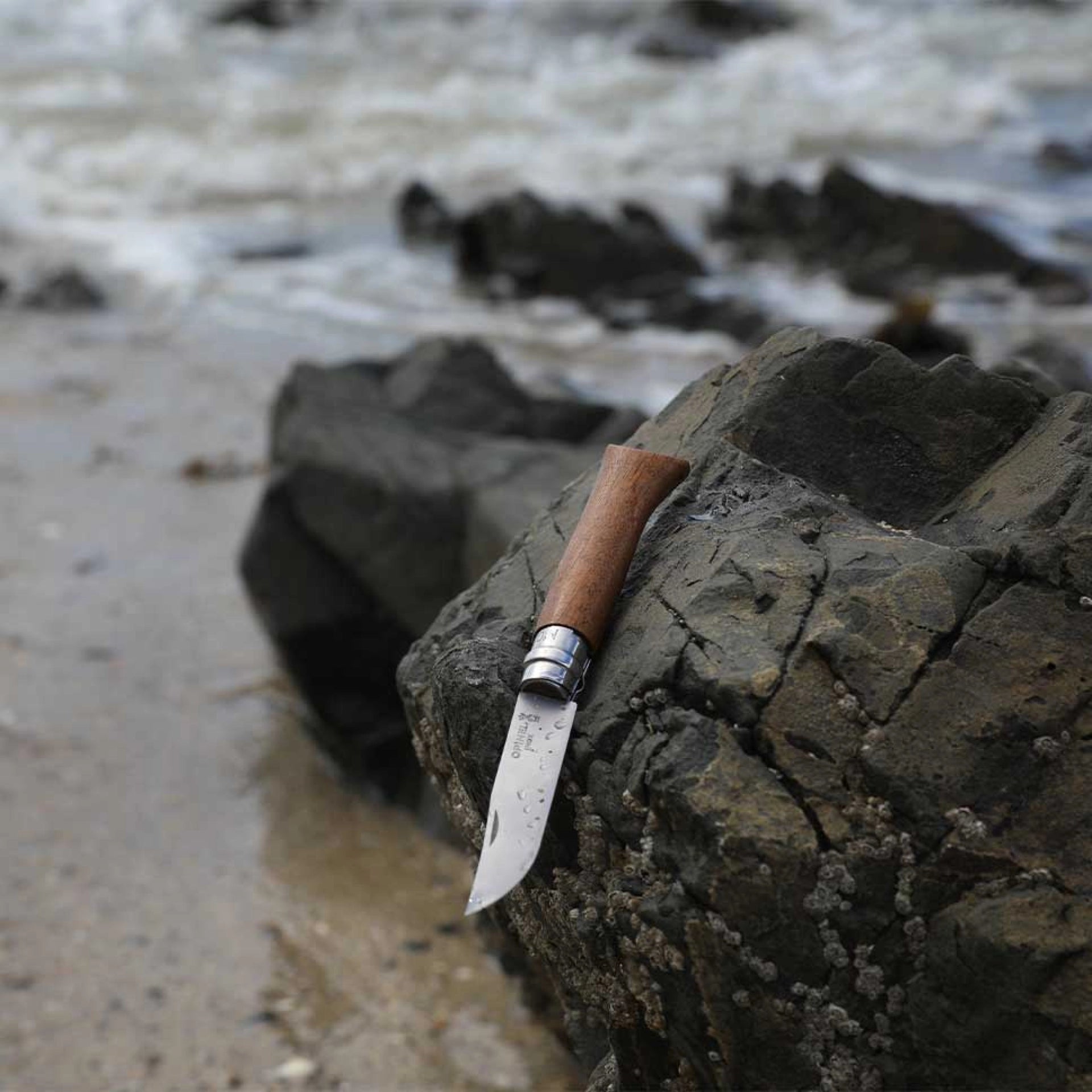 Opinel N°08 Nussholz – Klassisches Taschenmesser mit Edelstahlklinge & Griff aus edlem Nussbaumholz Opinel