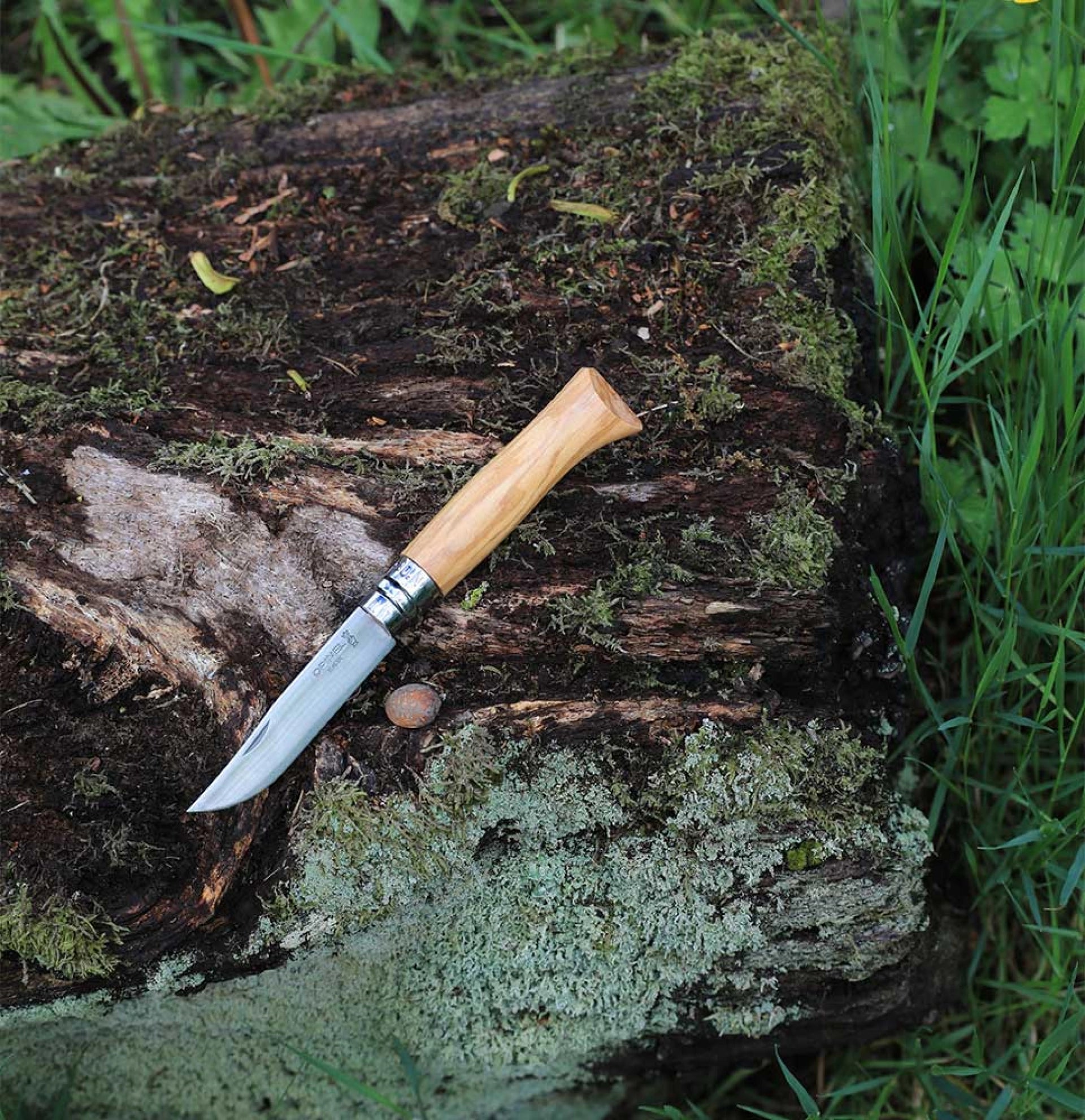 Opinel N°08 Olivenbaum + Etui – Edles Taschenmesser mit Olivenholzgriff & Schutztasche im Geschenkset Opinel
