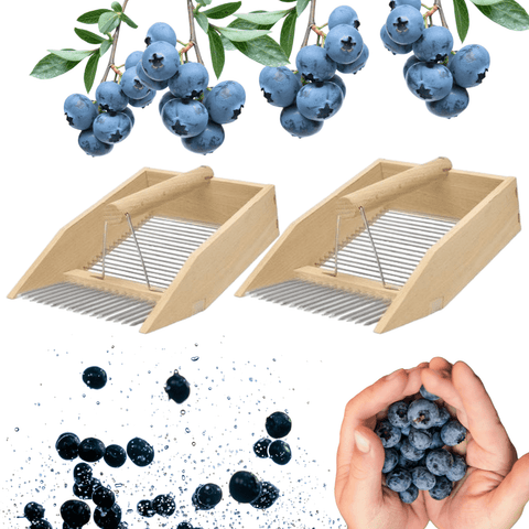 2 x LUNA Beerenkamm Erntegerät für Heidelbeeren Preiselbeeren  Buchenholz Deufa