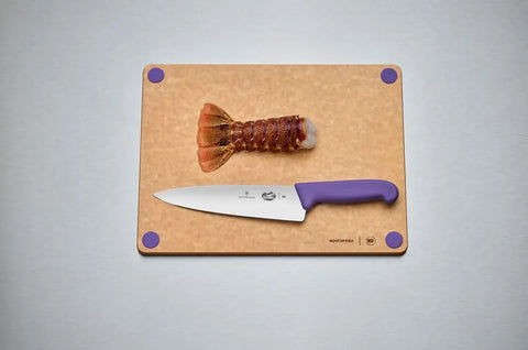 Victorinox Fibrox Kochmesser 20 cm – Profi-Kochmesser aus der Schweiz Victorinox