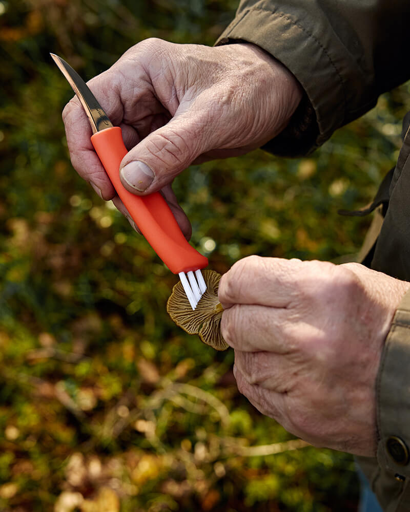 Marttiini Pilzmesser Ruska – Edelstahlklinge, roter Griff, Nylonbürste & Lederscheide