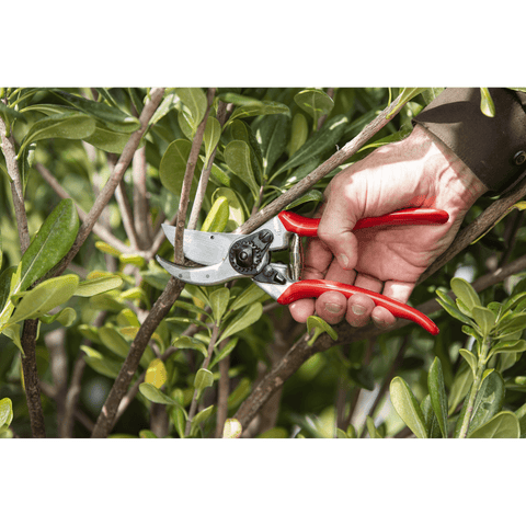 Felco 2 Baum-, Reb- und Gartenschere