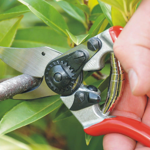 Felco 6 Baum-, Reb- und Gartenschere