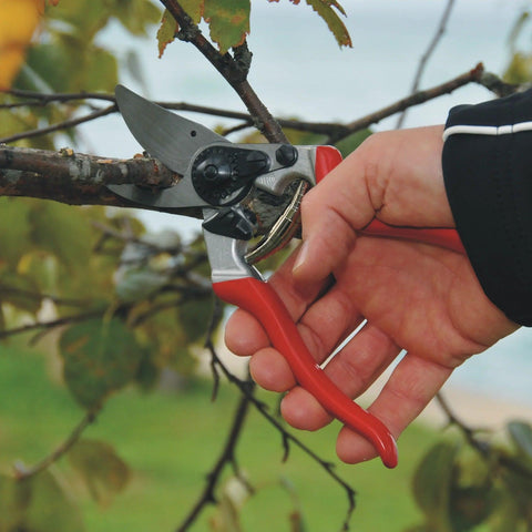 Felco 8 Baum-, Reb- und Gartenschere