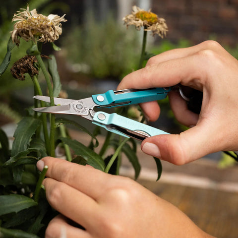 Leatherman Micra Jet Black/Parakeet/Heathered Blush/Edelstahl – Kompaktes Multi-Tool mit Schere für Schlüsselbund & Alltag Leatherman