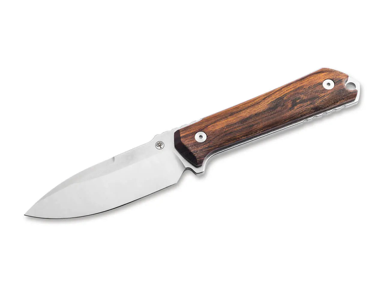 Böker Kiboku Wüsteneisenholz – Feststehendes Messer mit RWL-34 Stahl, Lucas Burnley Design, Made in Solingen Böker Manufaktur Solingen