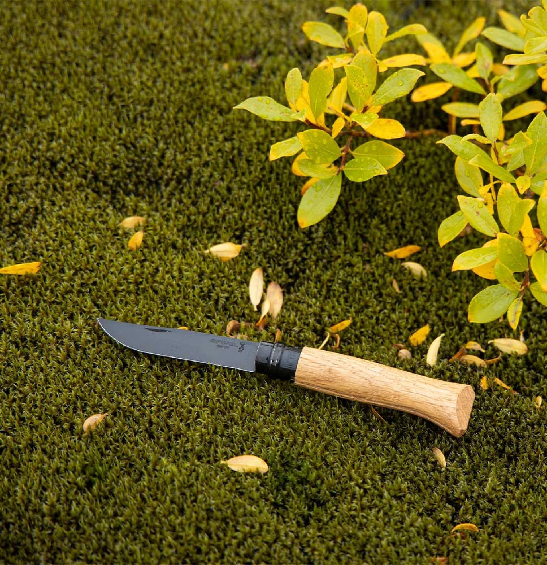 Opinel N°08 Eiche Black – Edles Taschenmesser mit schwarzer PVD-Klinge & Griff aus französischer Eiche Opinel